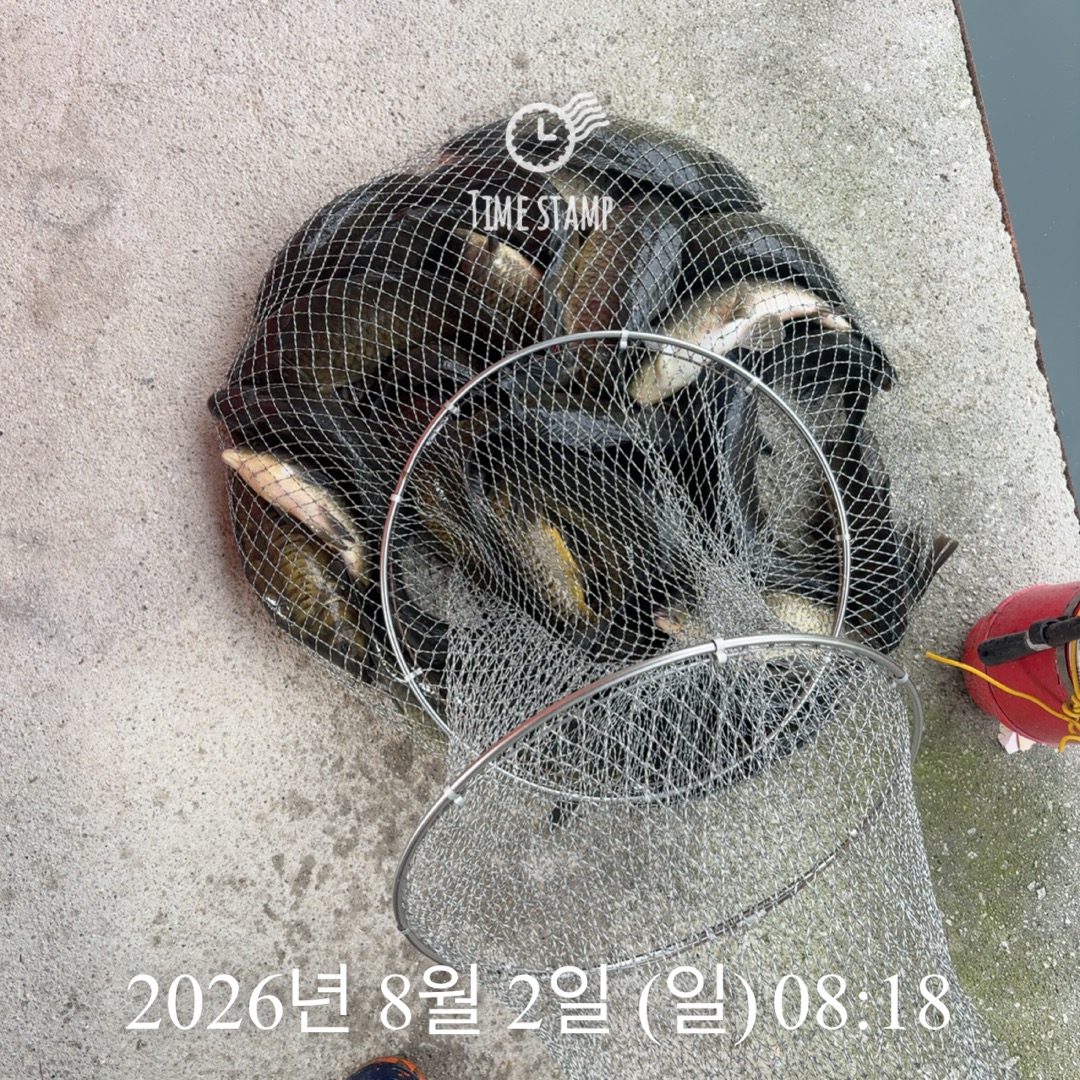 KakaoTalk_20260804_075126350_05.jpg