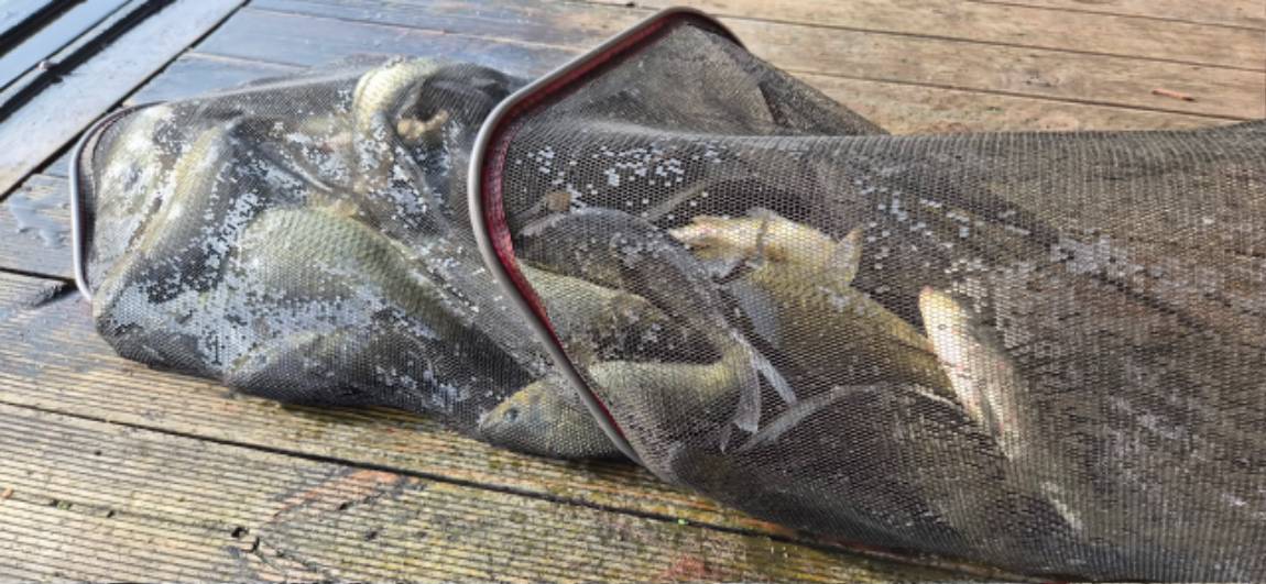 15-2 (1).jpeg