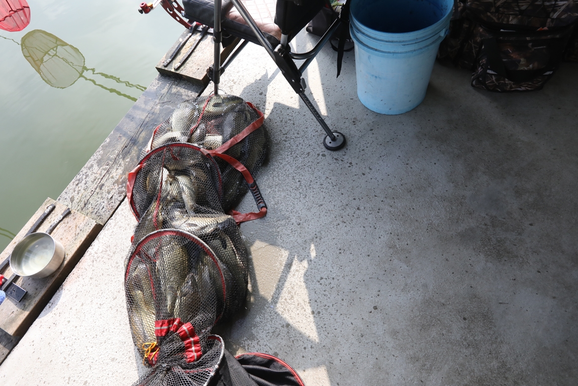 194.JPG