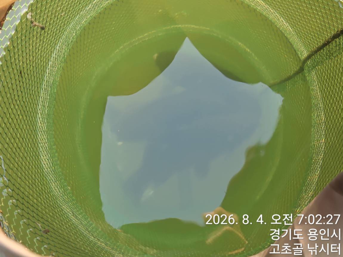 1785823428523.jpg