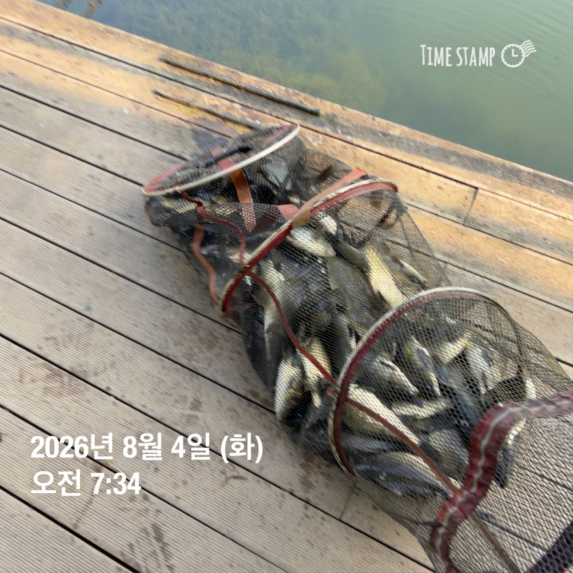 KakaoTalk_20260805_110014393_02.jpg