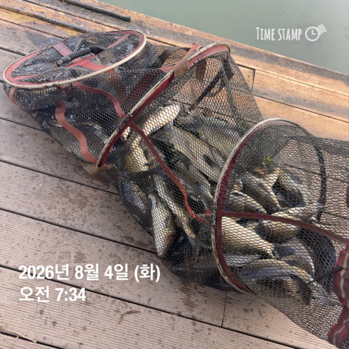 KakaoTalk_20260805_110014393_03.jpg
