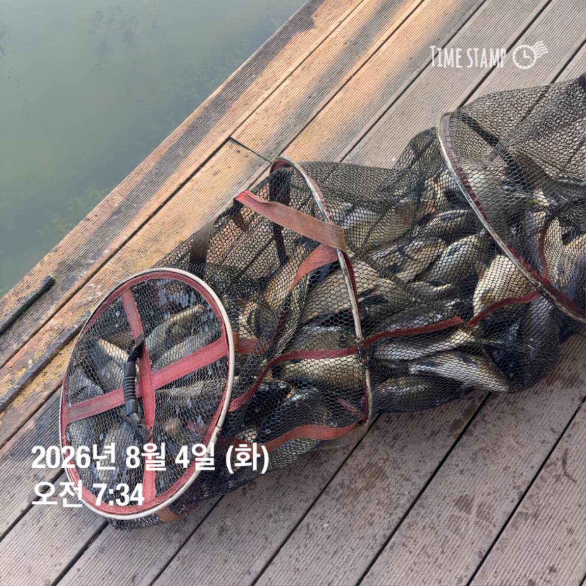 KakaoTalk_20260805_110014393_04.jpg