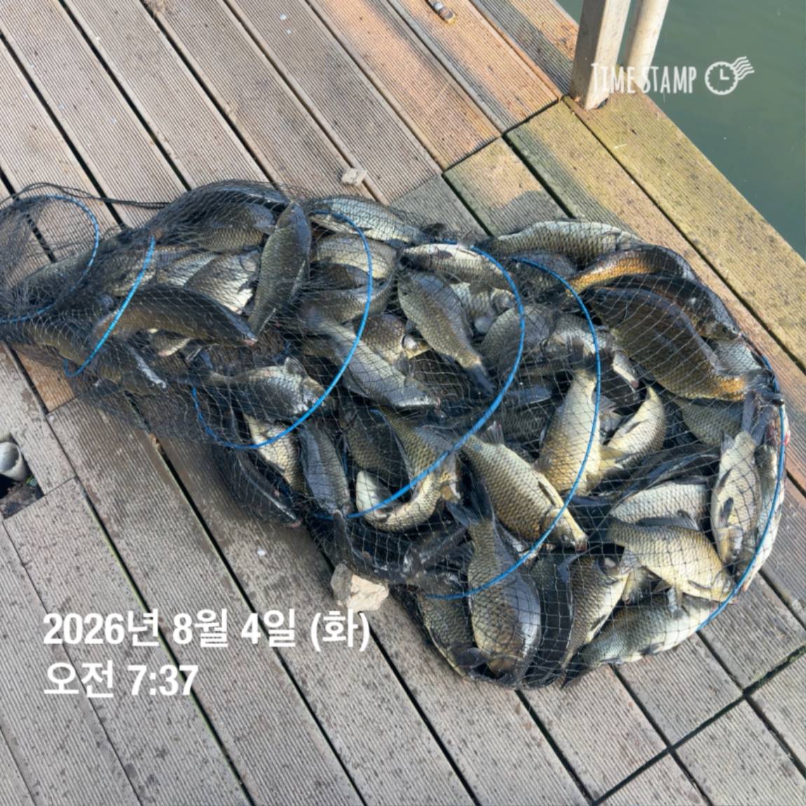 KakaoTalk_20260805_110014393_05.jpg