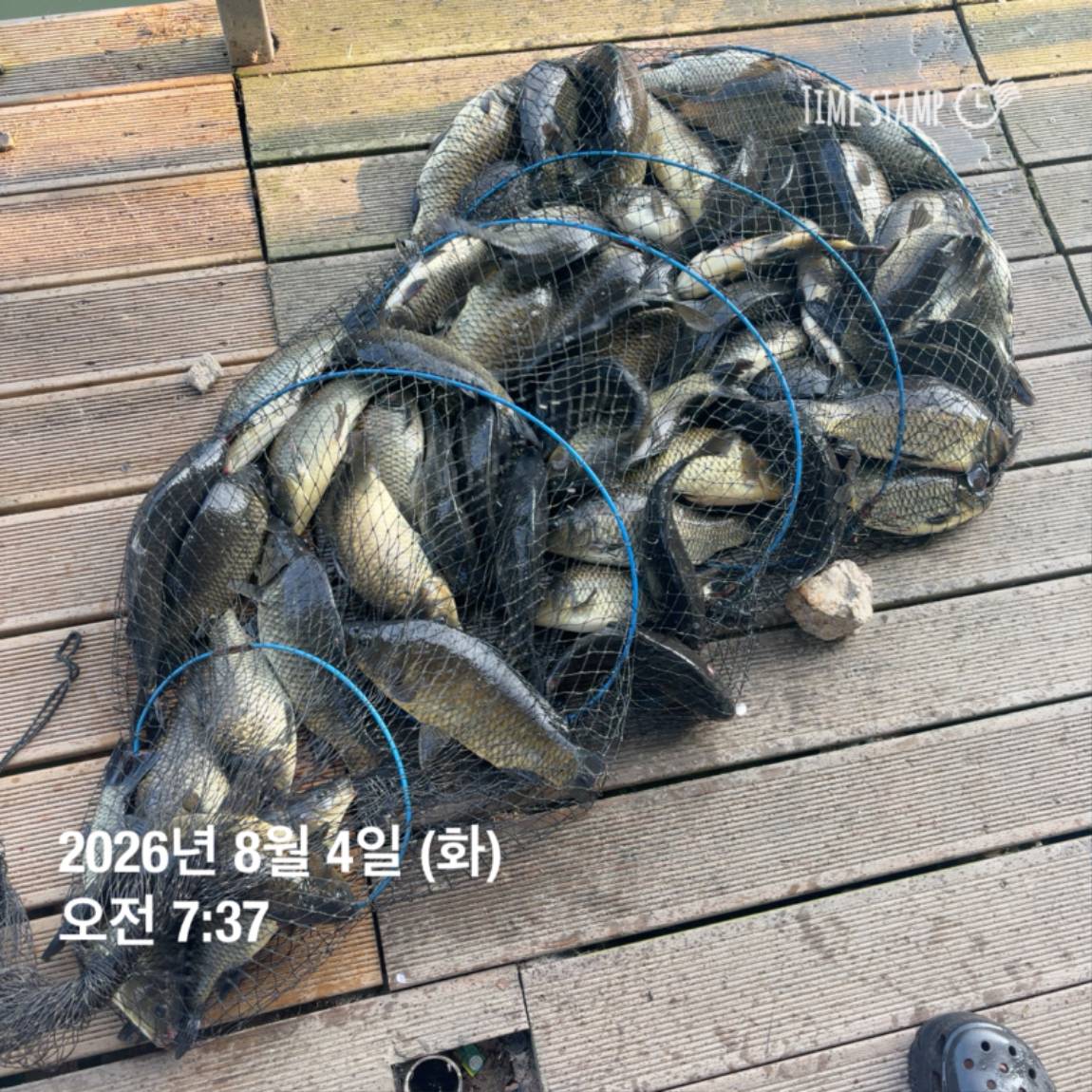 KakaoTalk_20260805_110014393_07.jpg