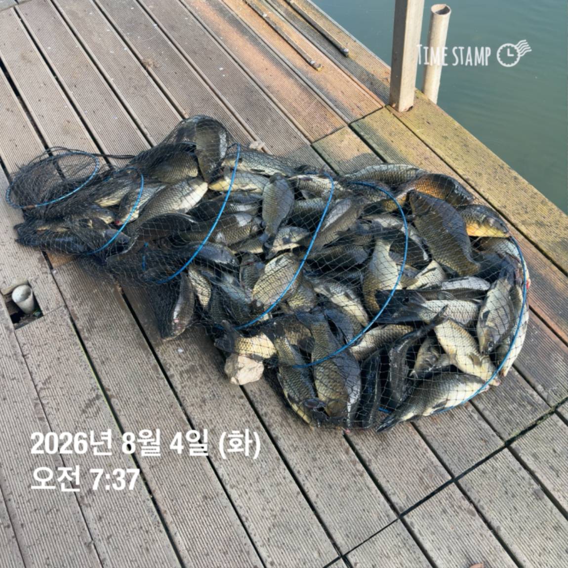 KakaoTalk_20260805_110014393_06.jpg