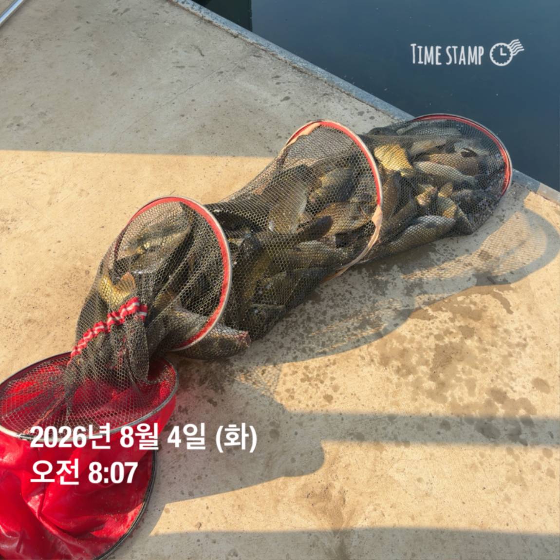 KakaoTalk_20260805_110014393_08.jpg
