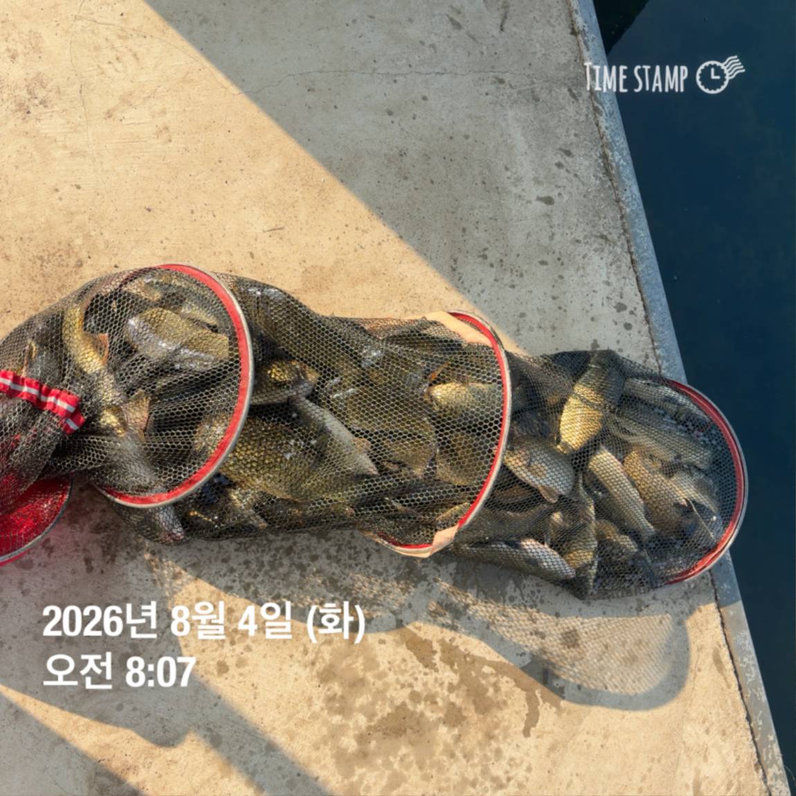 KakaoTalk_20260805_110014393_09.jpg