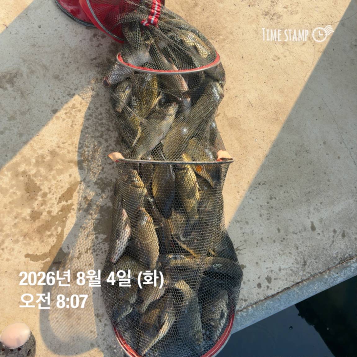 KakaoTalk_20260805_110014393_11.jpg
