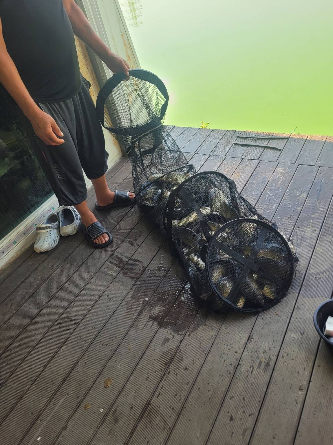 Resized_20260803_093450.jpeg