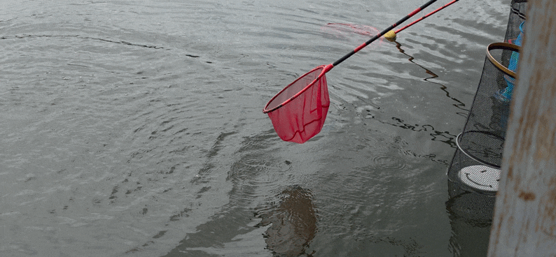 20260725_141238(1).gif