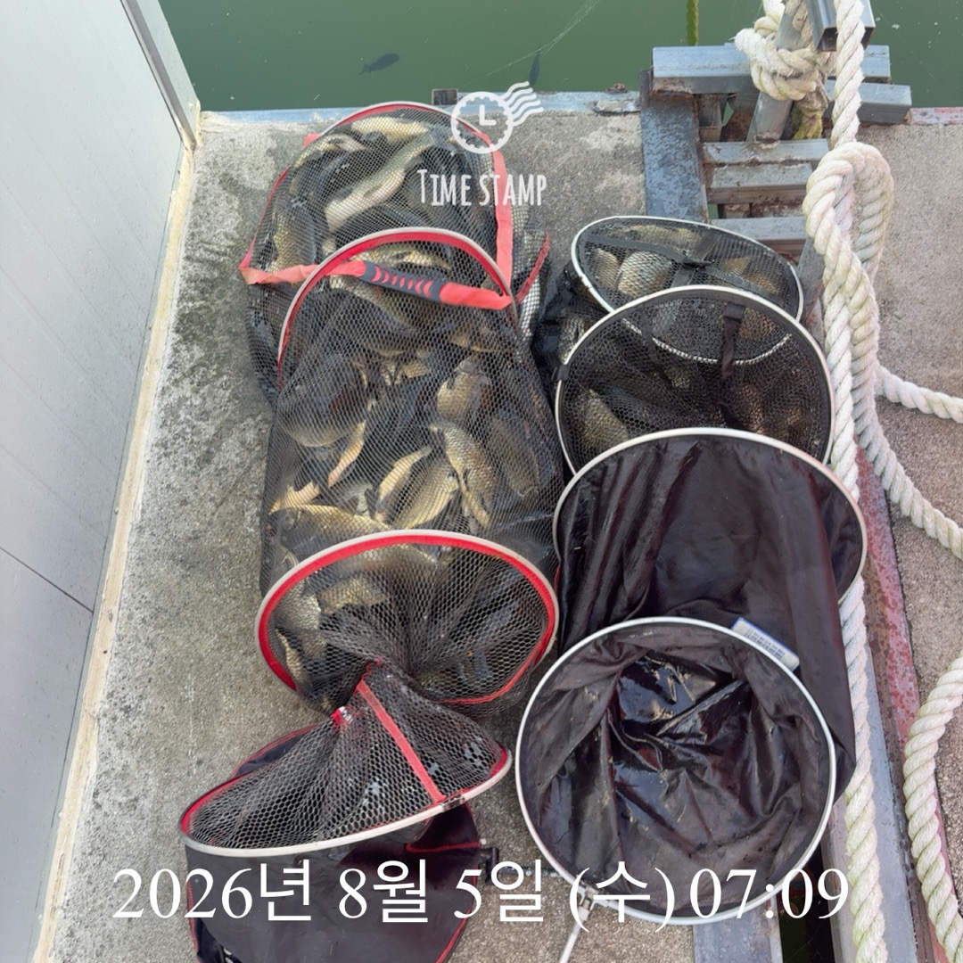 KakaoTalk_20260806_083545654_02.jpg