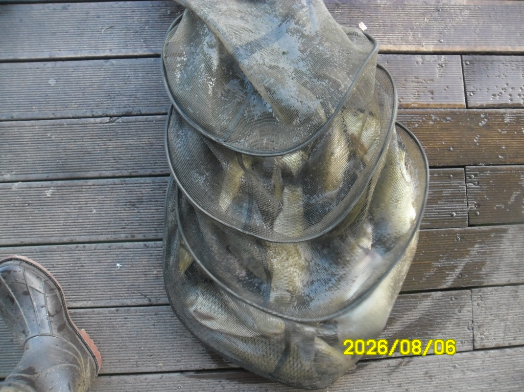 SAM_1838.JPG