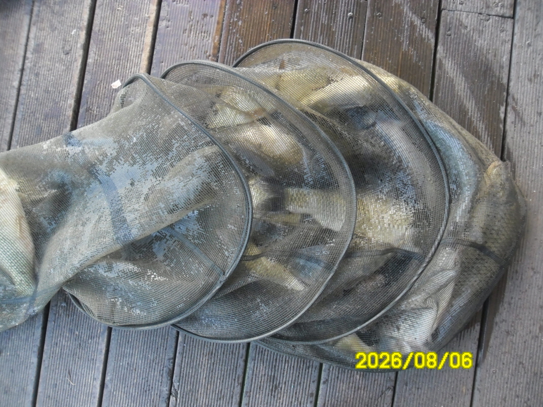 SAM_1839.JPG