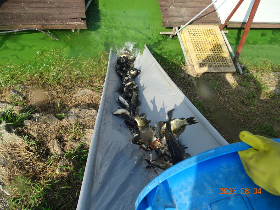 DSC07015.JPG