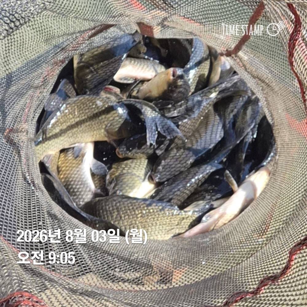 1786068862205.jpg