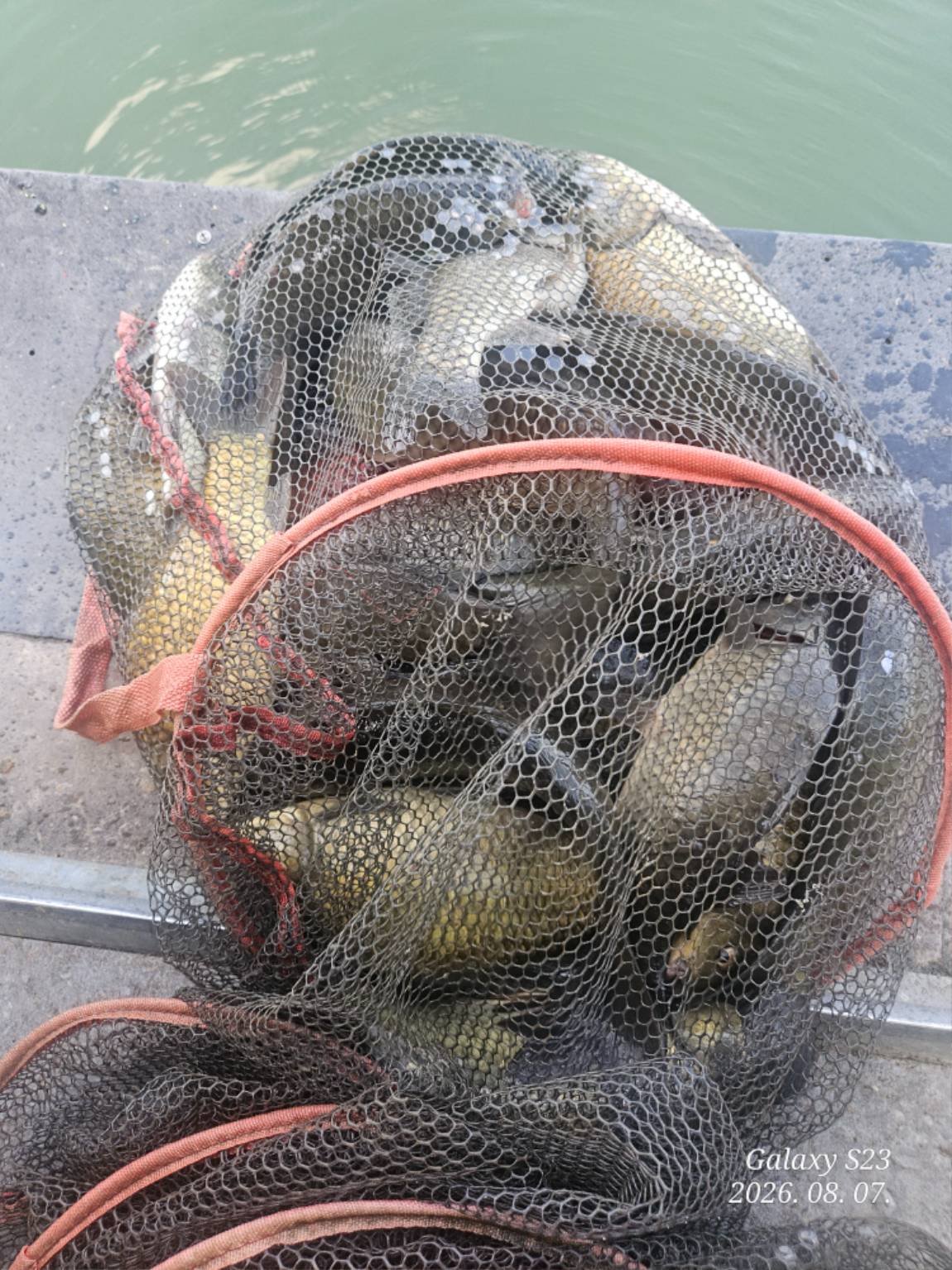 20260807_160303.jpg