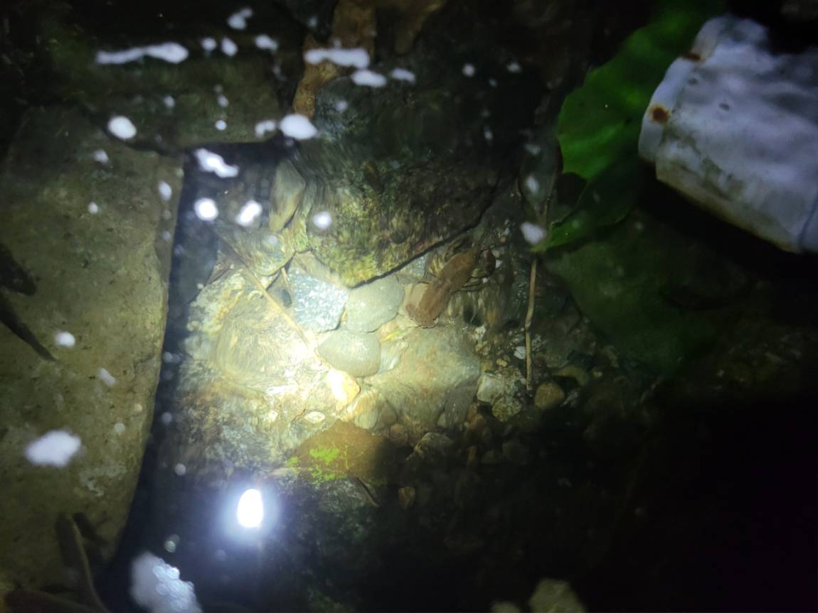 20260807_212536.jpg