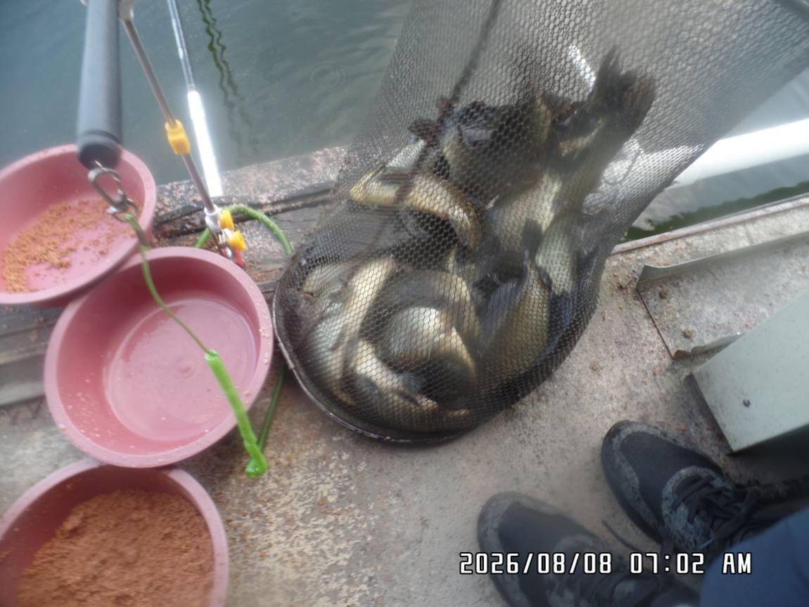 SAM_7610.JPG