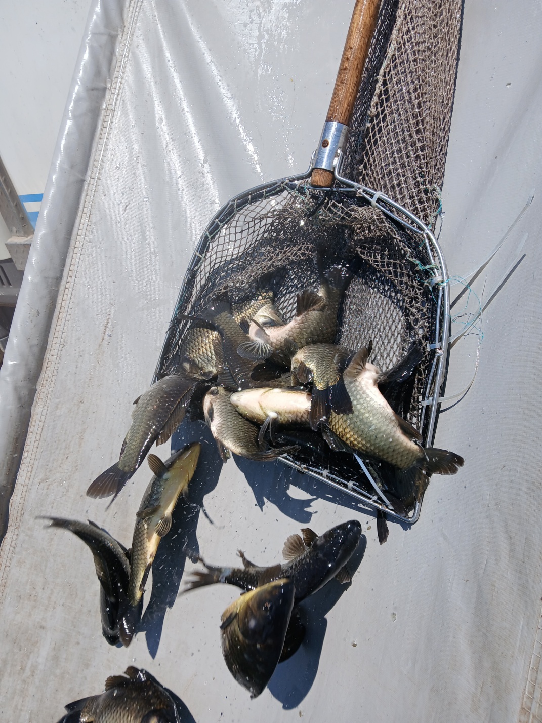 KakaoTalk_20260807_124613368_08.jpg
