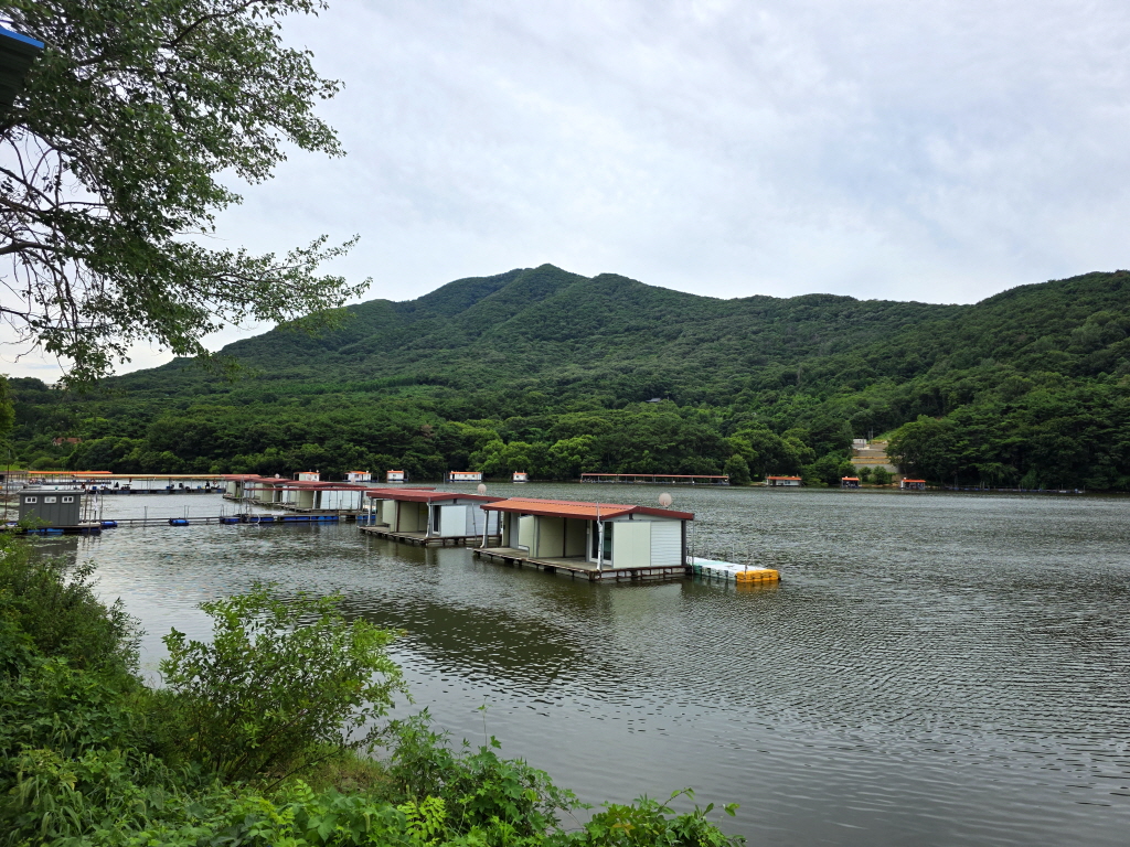 aKakaoTalk_20260809_095741305.jpg