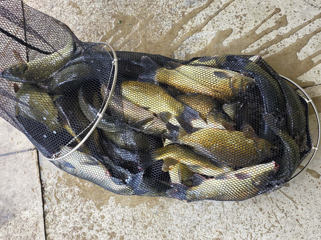 aKakaoTalk_20260809_095741305_13.jpg