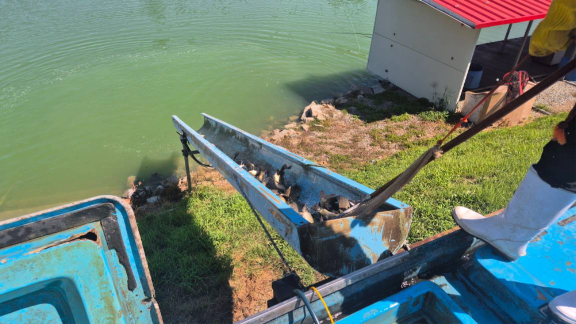 20260808_102124.jpg