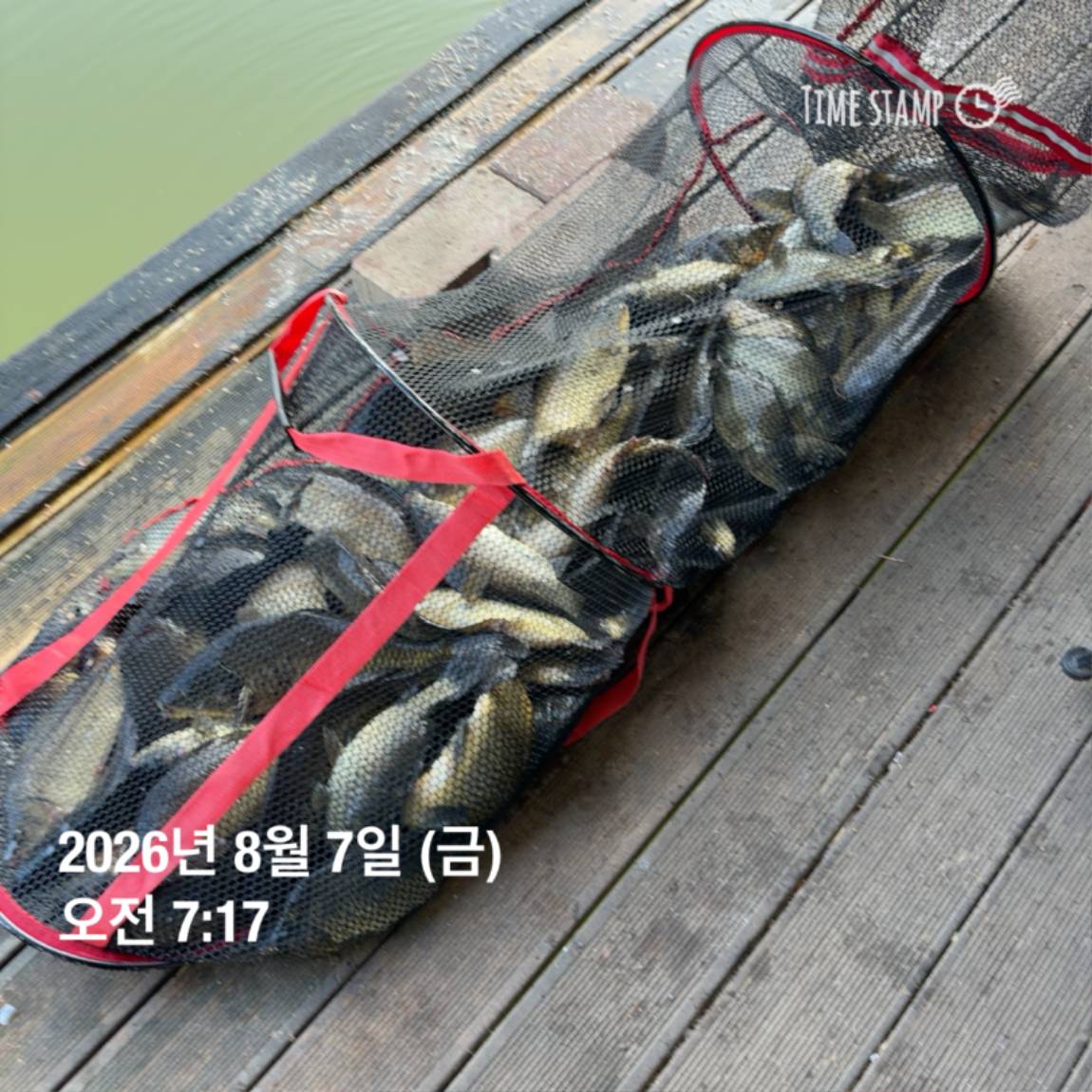 KakaoTalk_20260810_142153830_04.jpg
