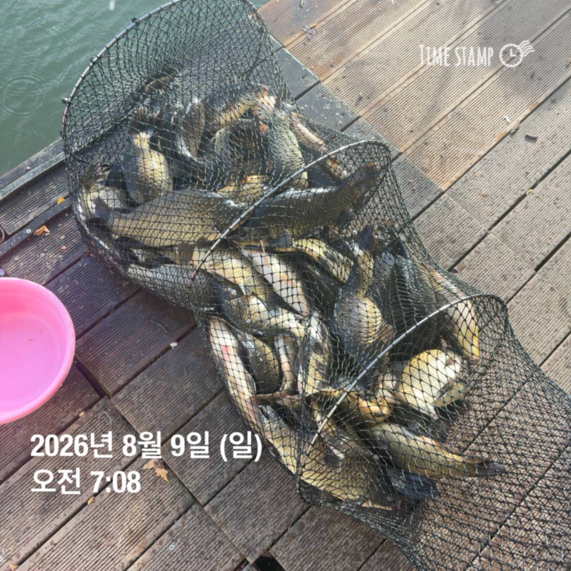 KakaoTalk_20260810_142153830_05.jpg
