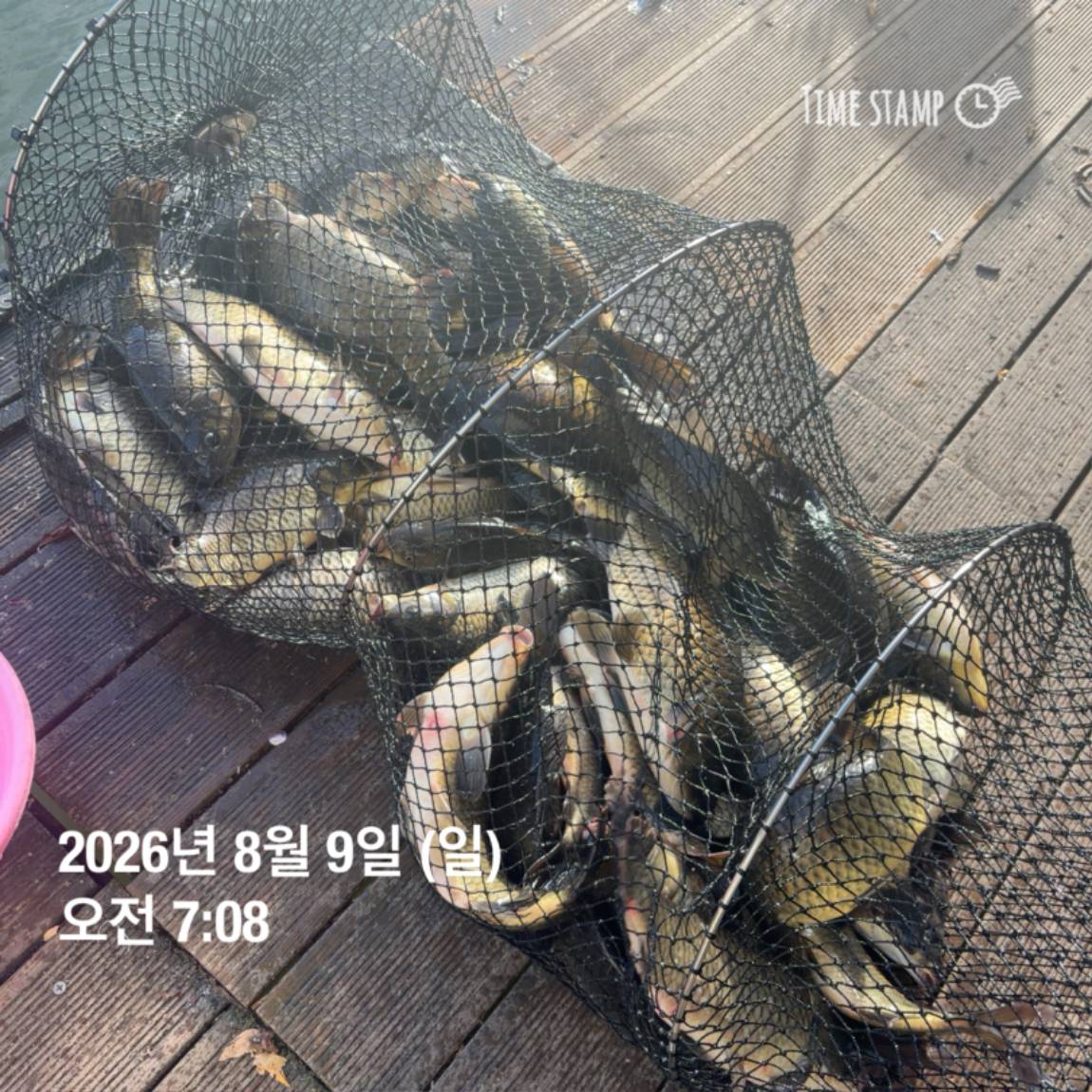 KakaoTalk_20260810_142153830_06.jpg