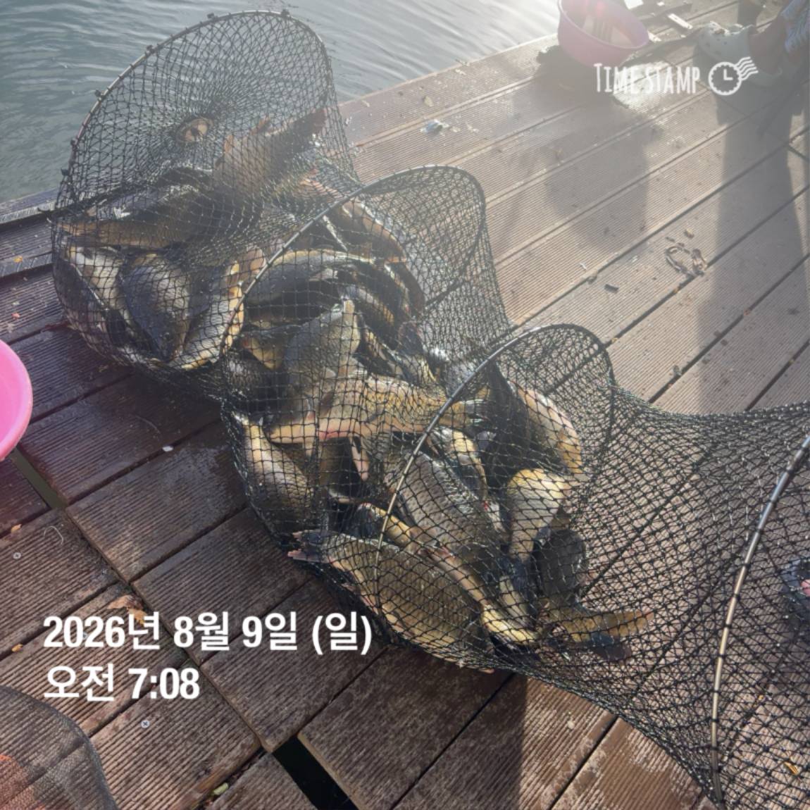 KakaoTalk_20260810_142153830_07.jpg