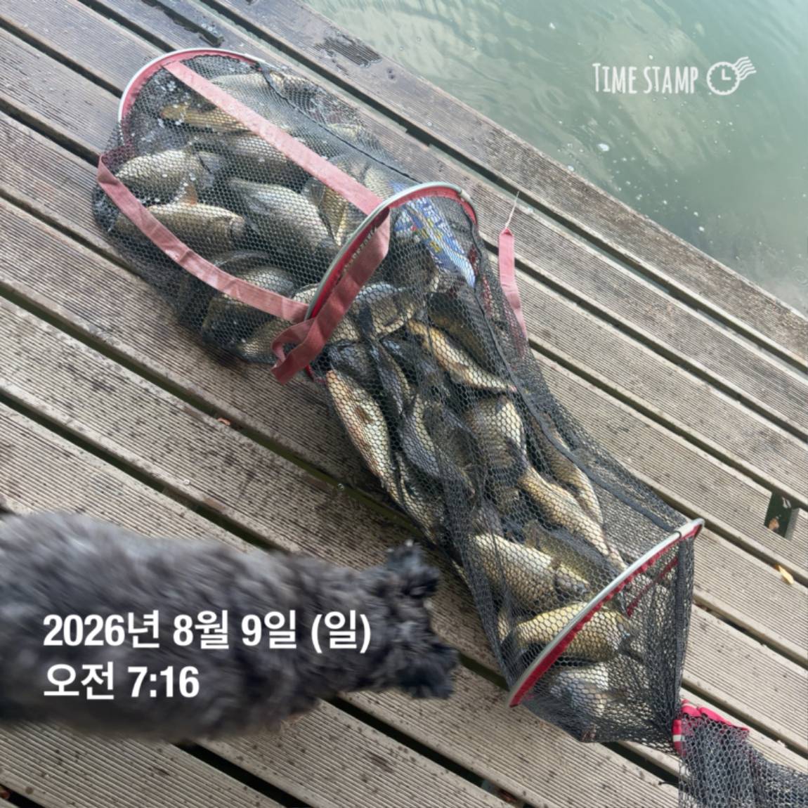 KakaoTalk_20260810_142153830_09.jpg