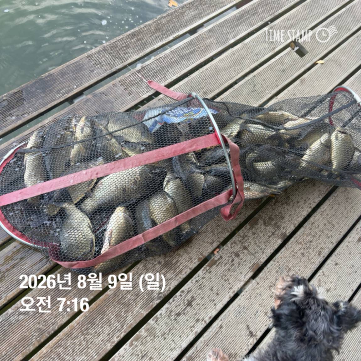 KakaoTalk_20260810_142153830_10.jpg