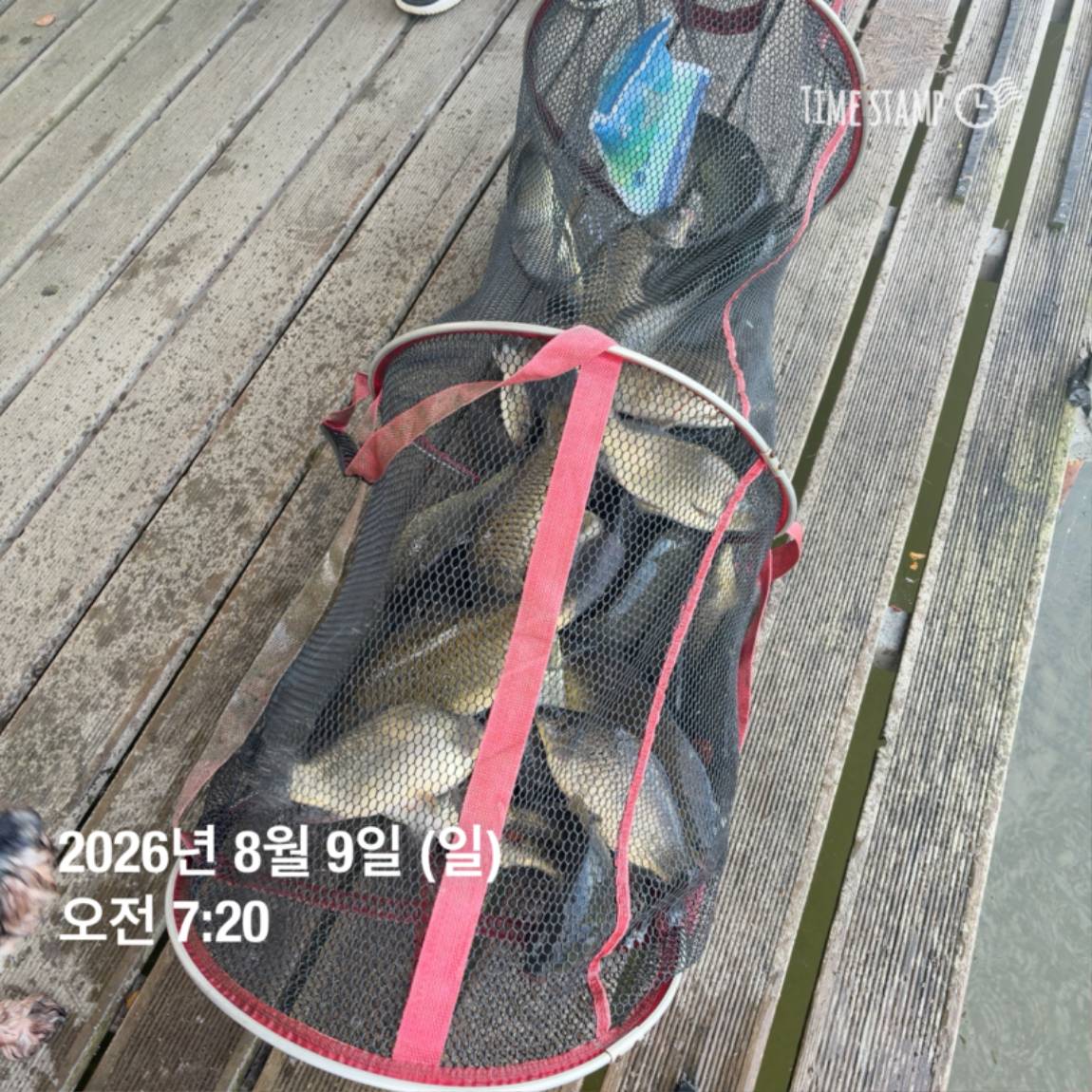 KakaoTalk_20260810_142153830_13.jpg