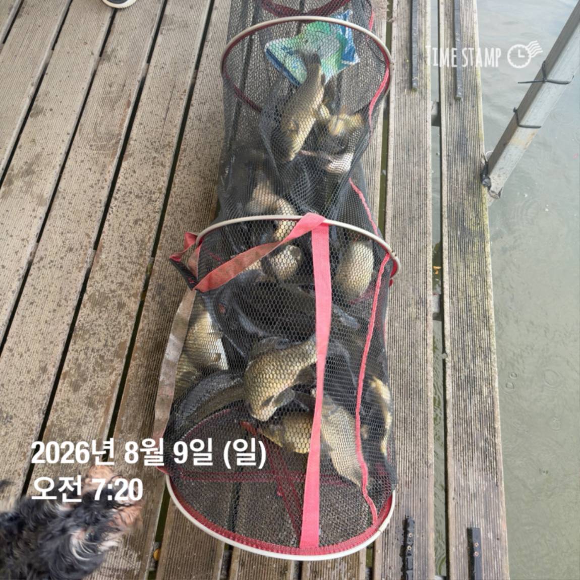 KakaoTalk_20260810_142153830_12.jpg