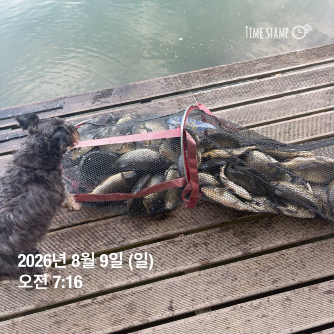 KakaoTalk_20260810_142153830_11.jpg