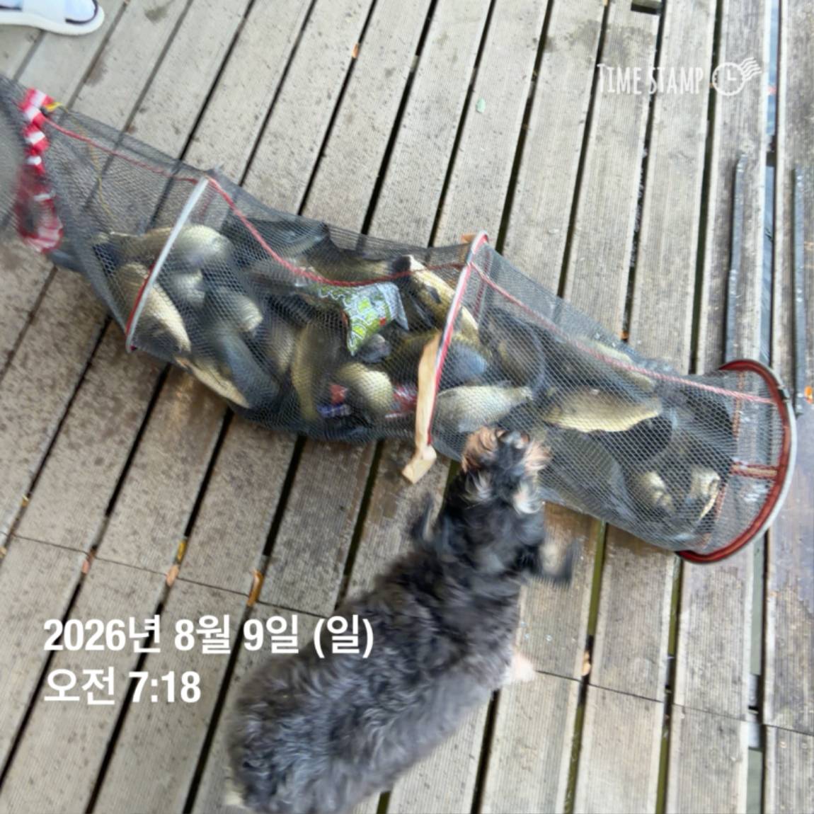 KakaoTalk_20260810_142153830_15.jpg