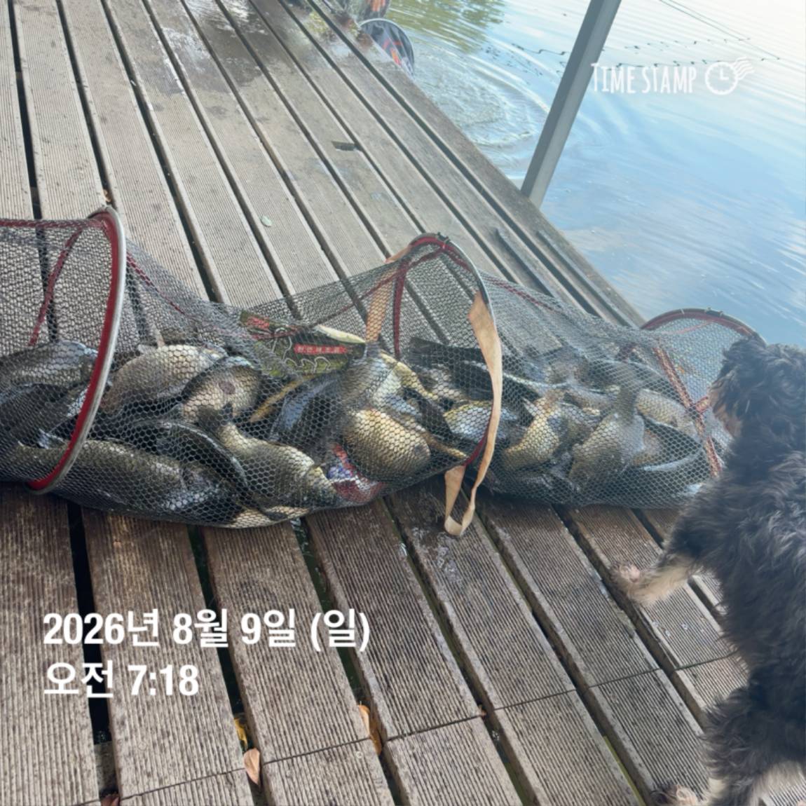 KakaoTalk_20260810_142153830_17.jpg