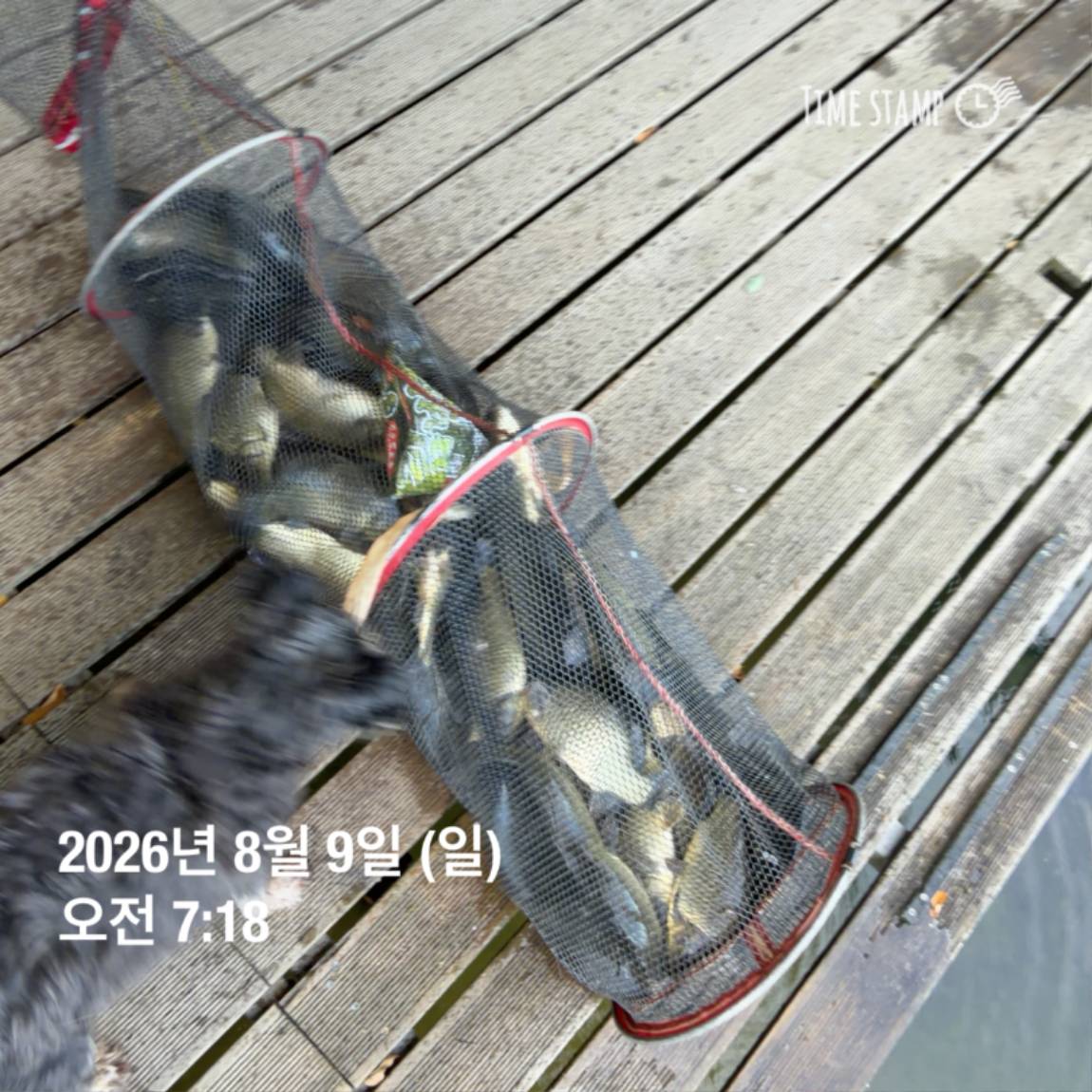 KakaoTalk_20260810_142153830_16.jpg