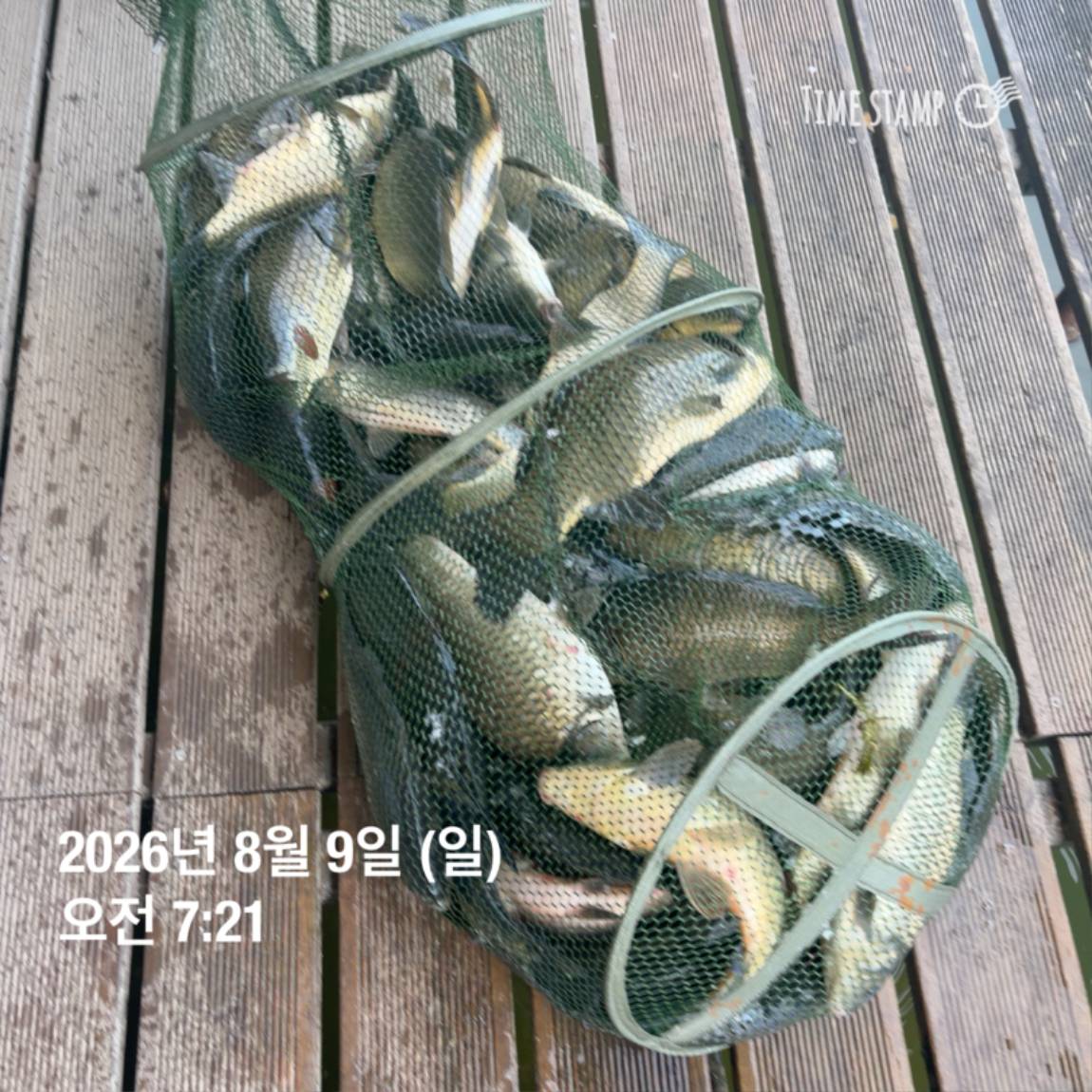 KakaoTalk_20260810_142153830_18.jpg