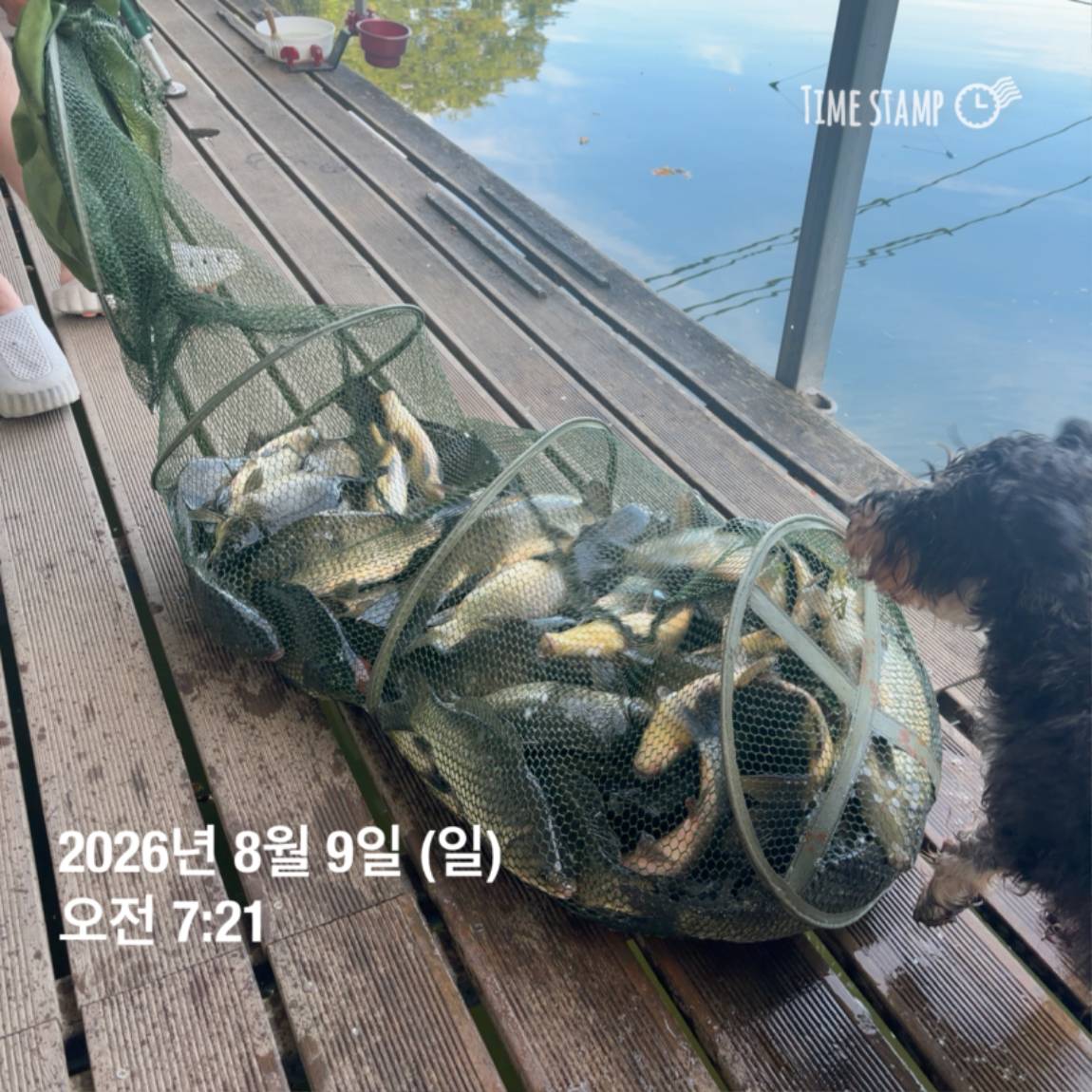 KakaoTalk_20260810_142153830_19.jpg
