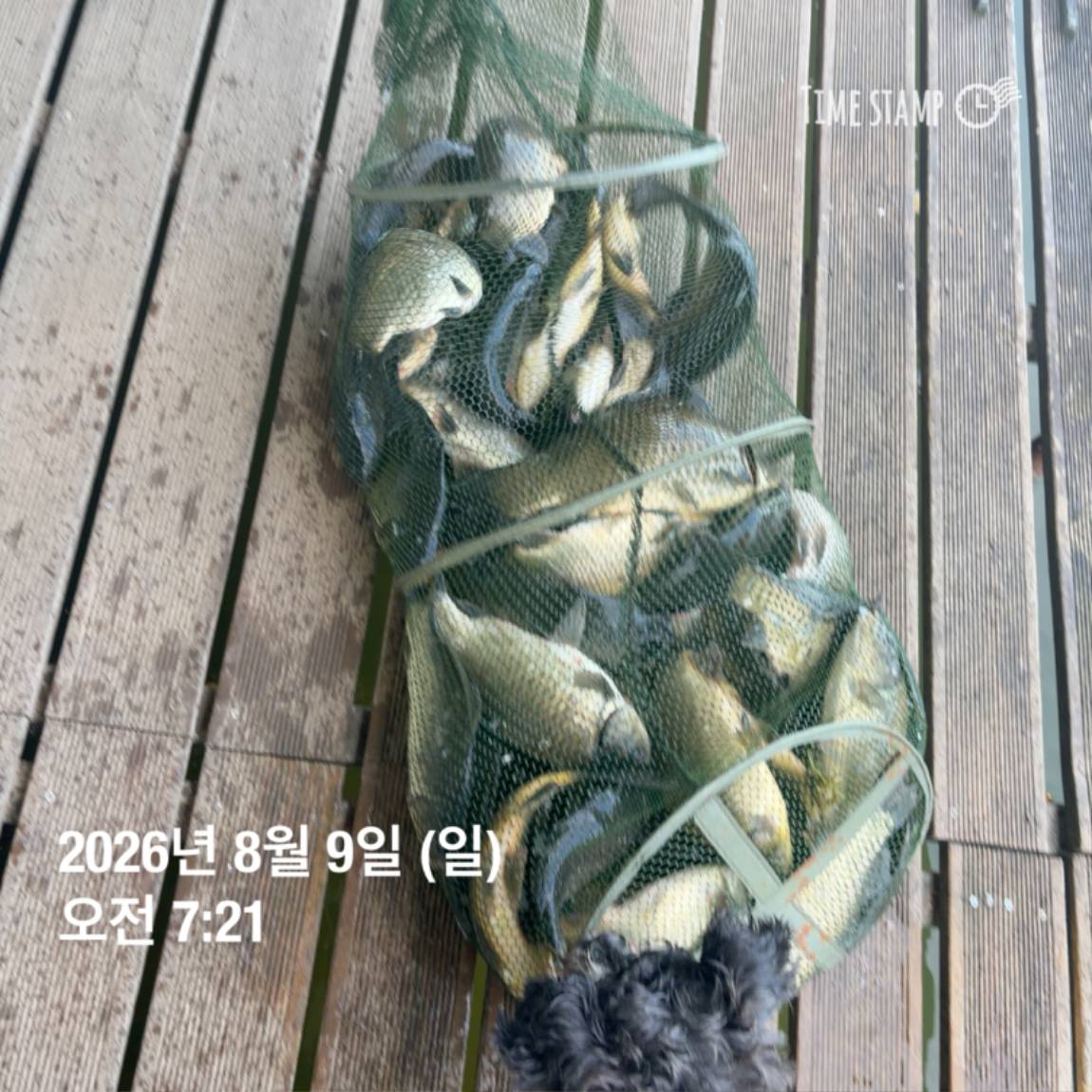 KakaoTalk_20260810_142153830_20.jpg