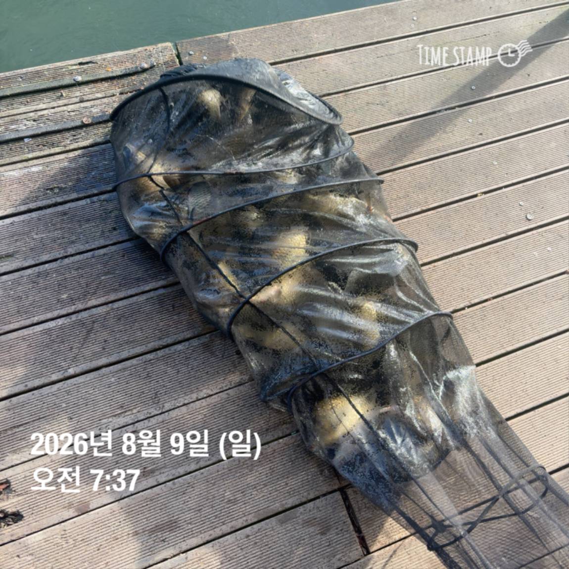 KakaoTalk_20260810_142153830_22.jpg