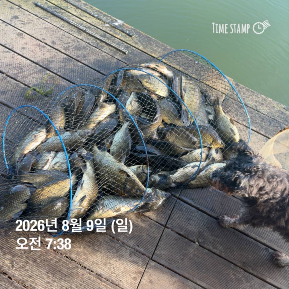 KakaoTalk_20260810_142153830_25.jpg