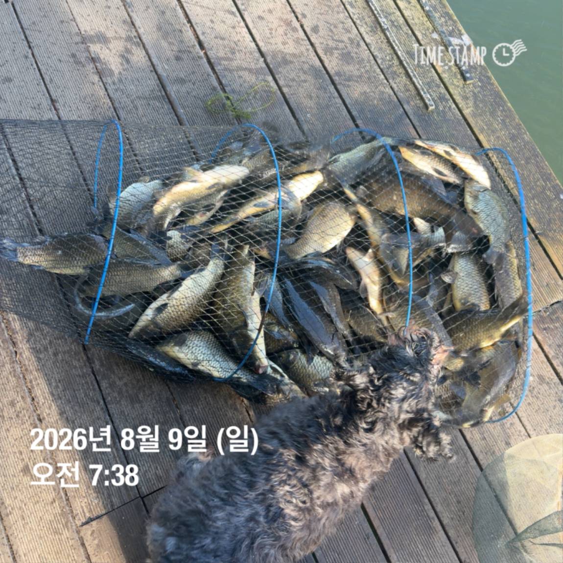 KakaoTalk_20260810_142153830_24.jpg