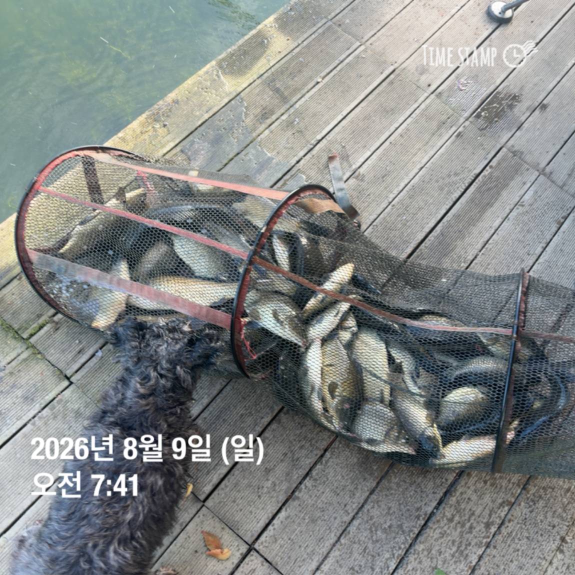 KakaoTalk_20260810_142153830_27.jpg