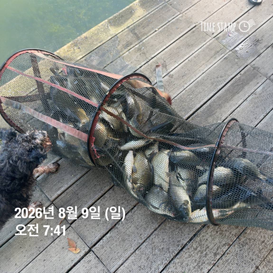 KakaoTalk_20260810_142153830_26.jpg