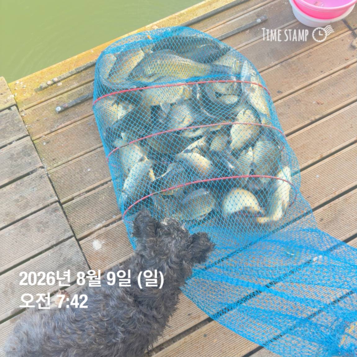 KakaoTalk_20260810_142153830_29.jpg