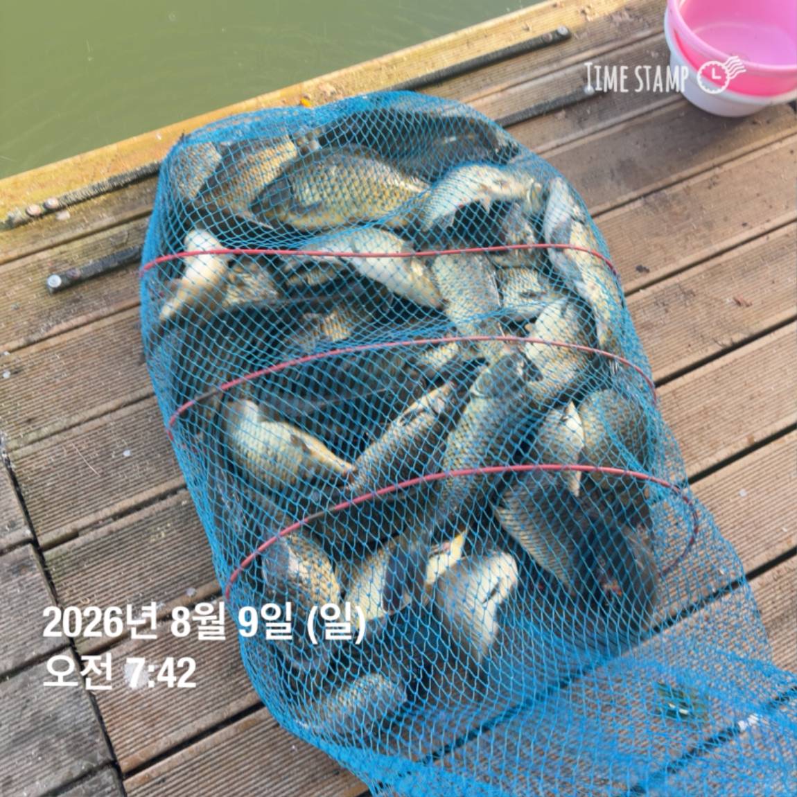 KakaoTalk_20260810_142204852.jpg