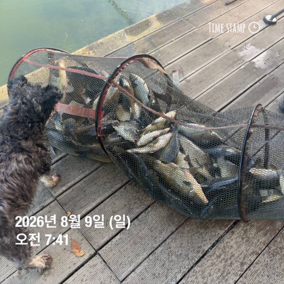 KakaoTalk_20260810_142153830_28.jpg